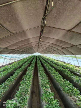 �Զ�����Ĥ��һձ���´���