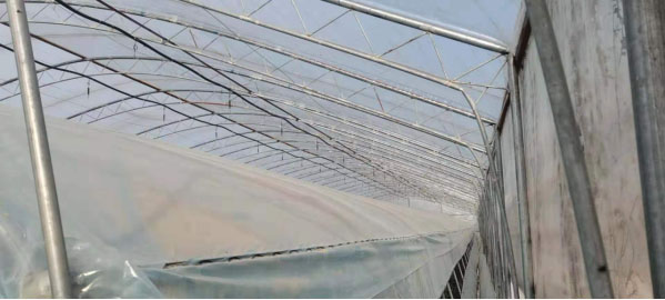 �Զ���˫��ˮĤ���´���