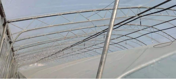 �Զ���˫��ˮĤ���´���