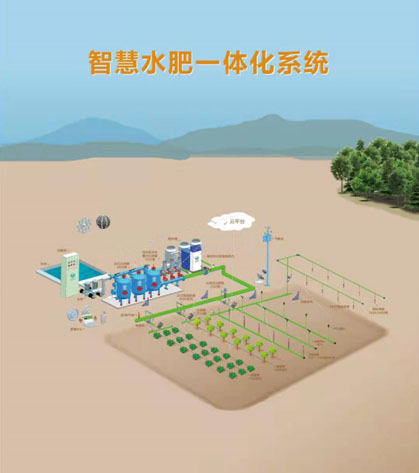 ˮ��һ�廯���ǻ۹�ȹ���